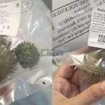 Karnataka Datura Sales