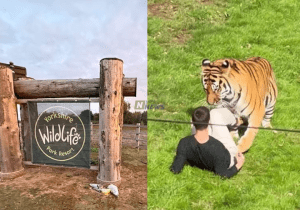 Yorkshire Wildlife Park